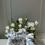 Stroller bag and Throw