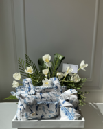 Stroller bag and Throw