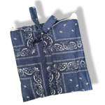 Bandana blue