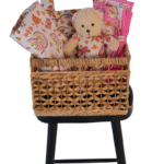 Stoller bag- blanket - teddy bear- changing mat ( basket)