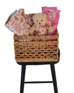 Stoller bag- blanket - teddy bear- changing mat ( basket)