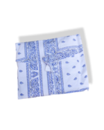 Bandana white & blue